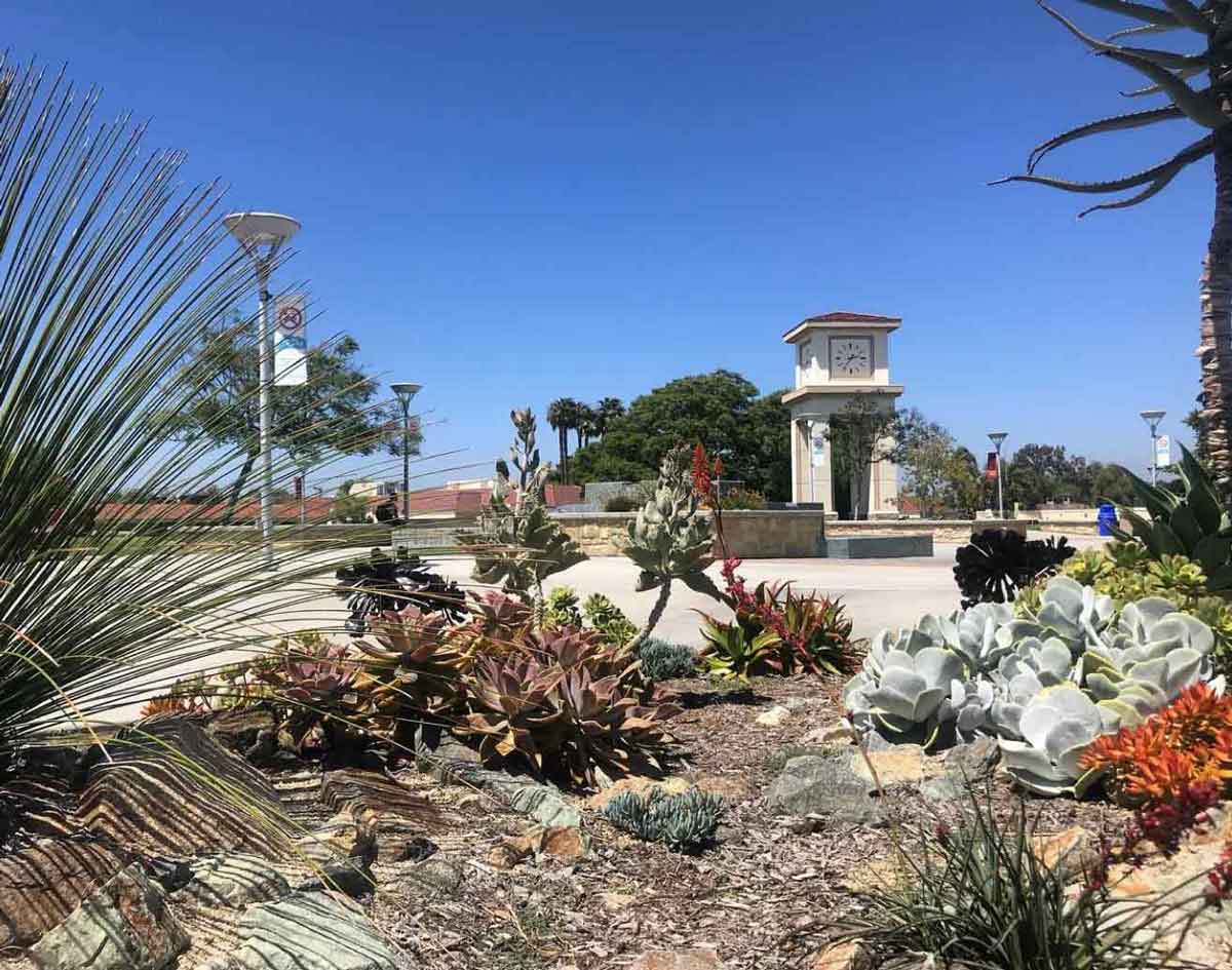 desert style landscaping and tower