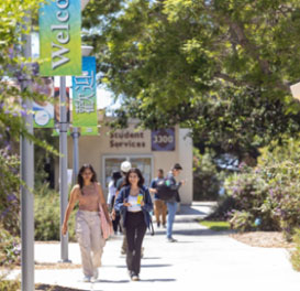 sunny day on campus